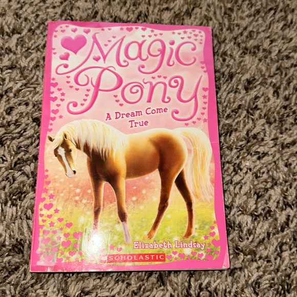 Scholastic Other - Magic pony book